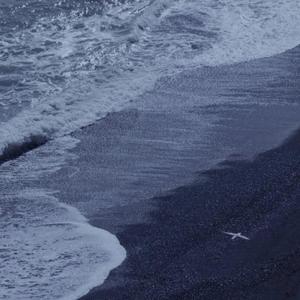 一级视频免费观看
