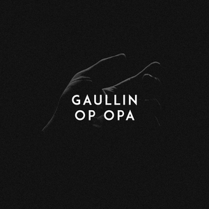 一级视频免费观看
