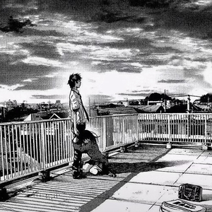 一级视频免费观看
