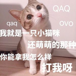 一级视频免费观看
