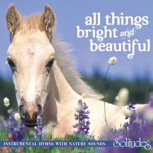 一级视频免费观看
