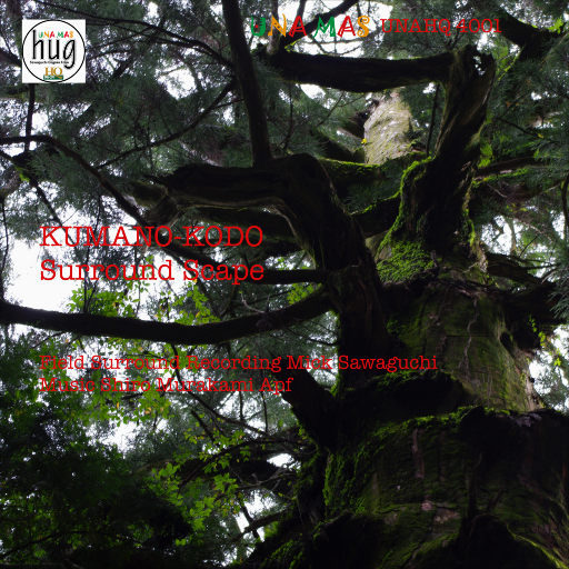 一级视频免费观看
